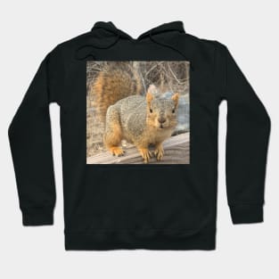 Squirrel Hoodie